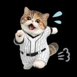 野球をする猫