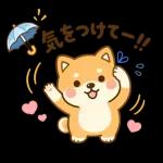 スタンプ・しば犬の梅雨だより