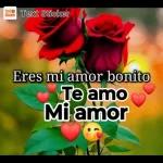 Eres mi amor bonito Te amo Mi amor