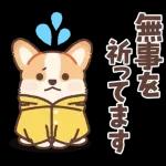 コーギーにとっての雨季と初夏