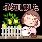 ブチャコの日常生活16