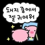 때지 뚱뚜이