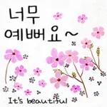 예쁜 꽃 다정한 일상인사톡