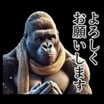 【冬】イケメンゴリラ