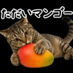 キジトラ猫飼いさんのダジャレ