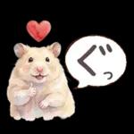 ゴールデンハムスター♡キンクマ