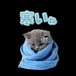 毎年使える♪リアルなにゃんこの年末年始