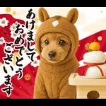 ウマの着ぐるみトイプードル【午年/2026】