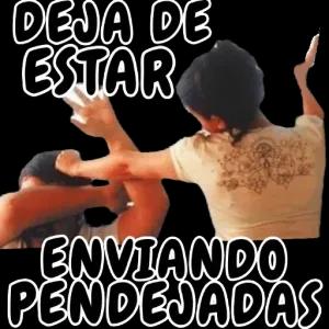 DEJA DE ESTAR ENVIANDO PENDEJADAS - getsticker.com