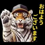 大阪神戸の野球好き虎ファン向け5とらほー