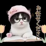 可愛いハチワレ猫 春の思いやり 敬語