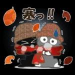 黒ねこの秋・冬便り