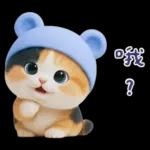 可愛小花貓超能幹的啦❤