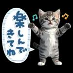 ねこちぃず♡梅雨〜初夏ver