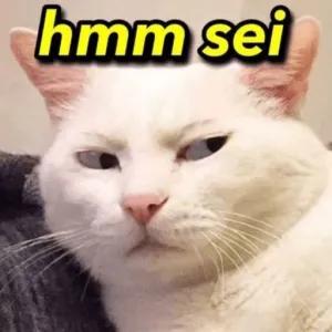 hmm sei - getsticker.com