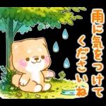 雨、梅雨、夏に使う❤️いやしばいぬ❤️柴犬