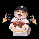 野球をする猫