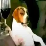 MEU DEUS!