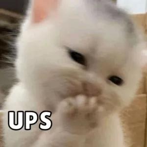 UPS - getsticker.com