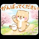シマエナガといやしばいぬ❤️春/柴犬敬語