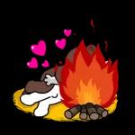 ブラウン&コニー 冬のワイワイデート