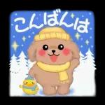 Animation only icon かわいいトイプードルの冬