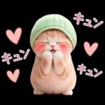 ずっと使える メロン帽が可愛い 猫とウサギ