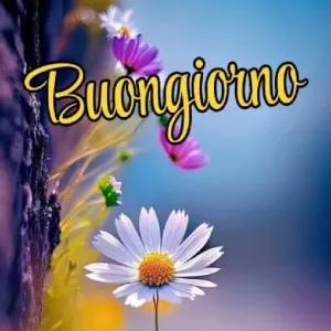 Buongiorno - getsticker.com