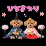 春♡とってもかわいいトイプードル