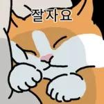 고양이 확대 2
