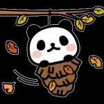 秋＊動くぶなんなパンダ
