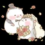 판다마우스 이벤트&기념일편