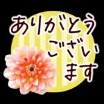 春✿明るい花で幸せ呼び込む✿やさしい声かけ
