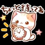 毎日♡猫ちゃんず【連絡・今何してる？】