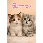 とびだす★ねこちゃんの日常