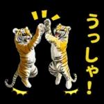 大阪神戸の野球好き虎ファン向け5とらほー
