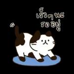 บิสเก็ต & เพื่อนๆ