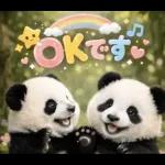 飛び出す♡まいにちパンダ