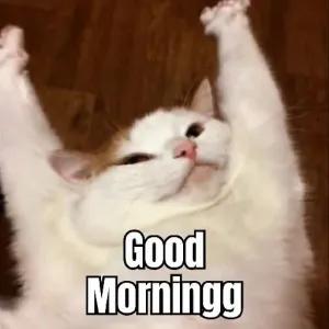 Good Morningg - getsticker.com
