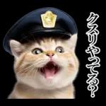リアル猫警察官