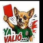 ¡Vamos México!