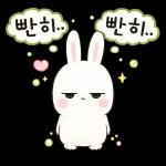 시크한 토끼의 한마디