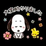 【結びのひとこと】ゆるカワ♪スヌーピー