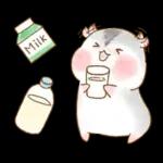 판다마우스 이벤트&기념일편