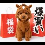 ウマの着ぐるみトイプードル【午年/2026】