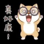 柴犬可愛諧音梗
