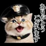 リアル猫警察官
