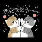 あけおめにゃん午