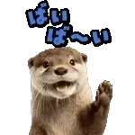 飛び出す！カワウソ