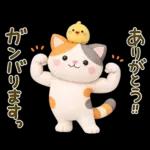 【3D】大人かわいい♪猫にゃんこ♥️敬語
